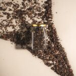 Chocolate Granola 3